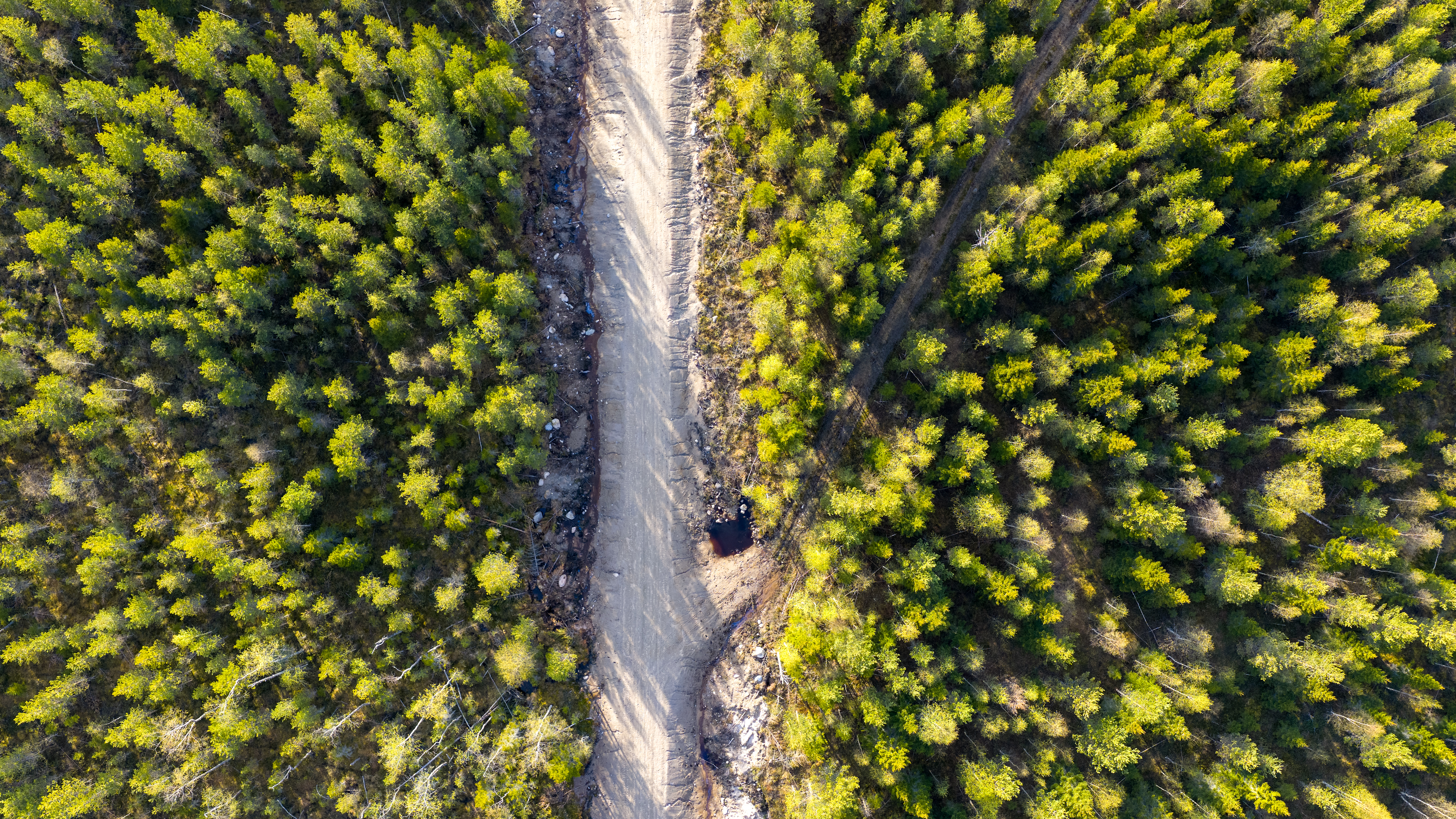 Fotograf nature Norrbotten